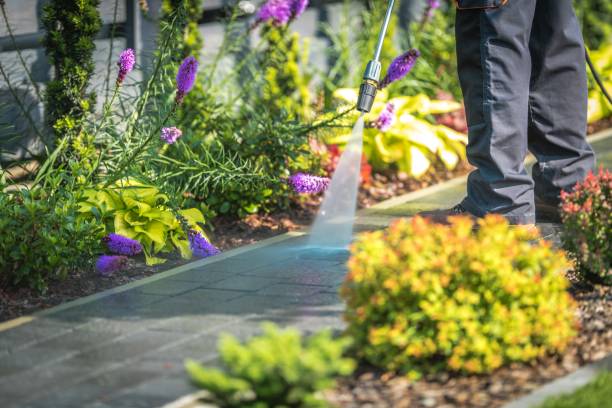 Reliable Dublin, GA Pressure Washing Services Solutions